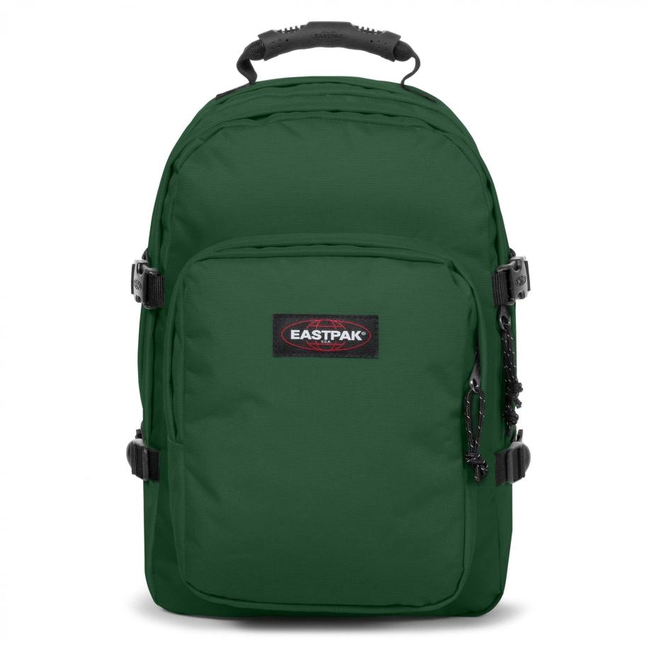 Eastpak EASTPAK Rugzak Provider groen -