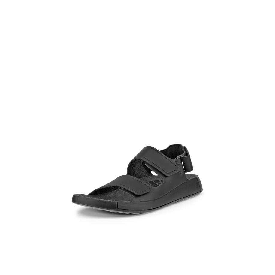 ECCO ECCO Sandalen Cozmo zwart -
