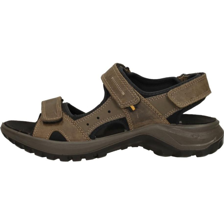 Sub55 Comfort Collection - Lexa Bruin