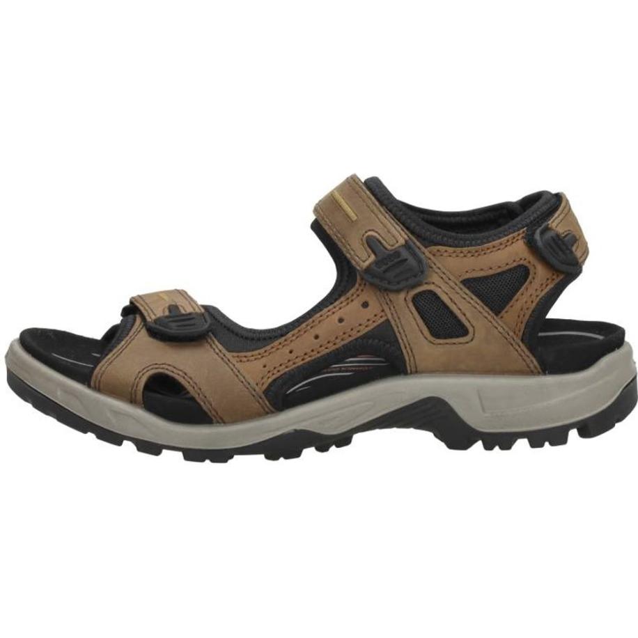 Ecco - Offroad Bruin
