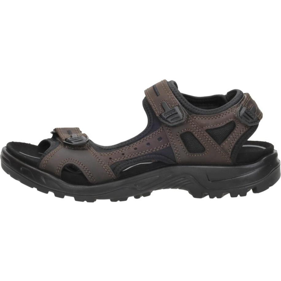 Ecco - Offroad Bruin