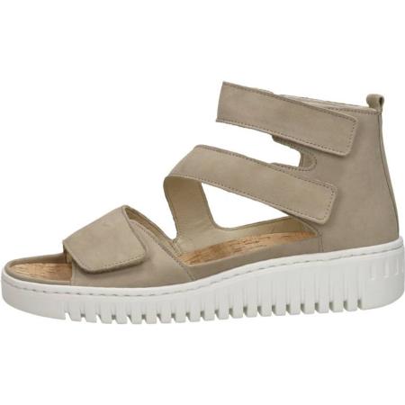 Waldläufer - H-willow