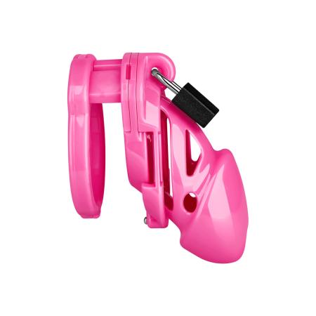 The Vice Chastity Standard