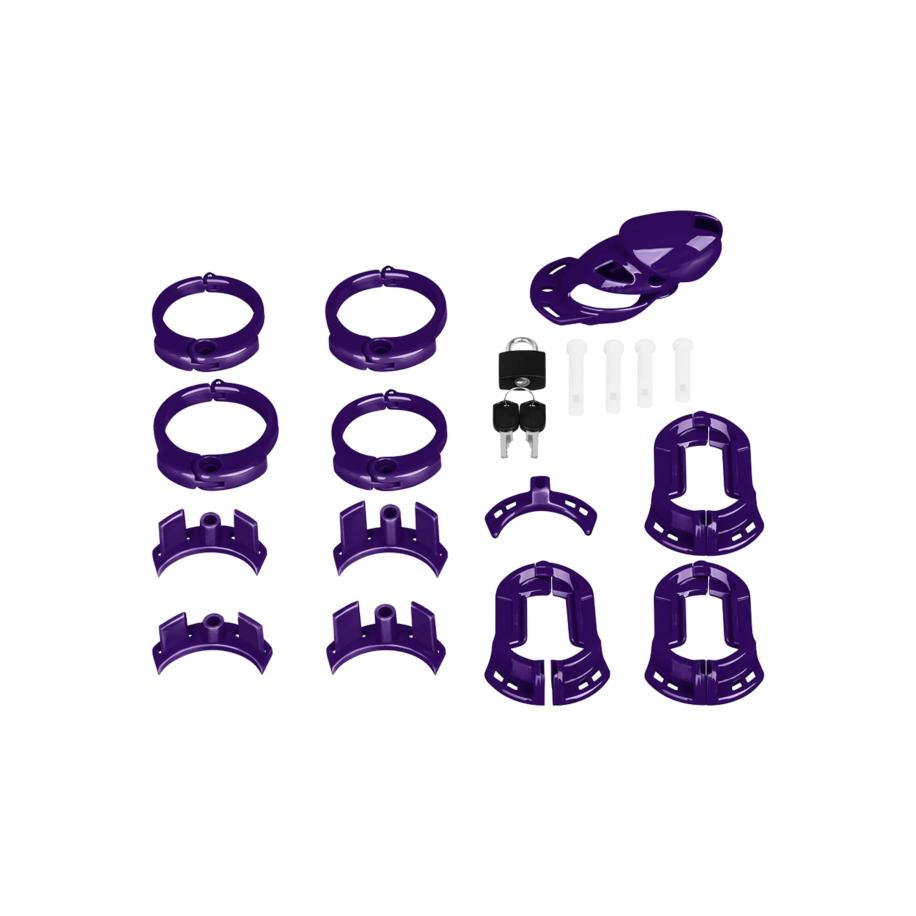 The Vice Chastity Standard -