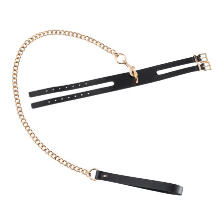 Guilty Pleasure GP Premium - Collar Leash Set