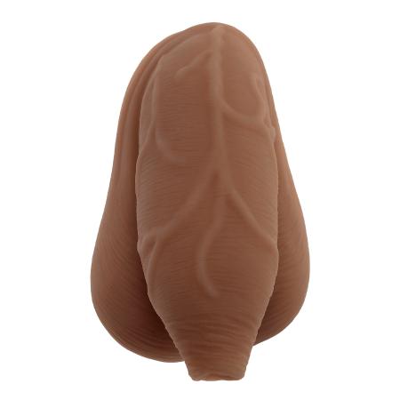 Gender X The Uncircumcised Packer 11,6 cm