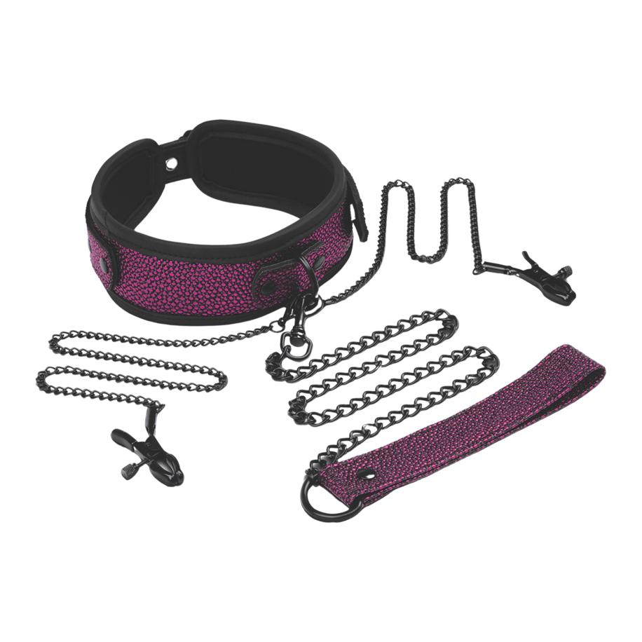 Whipsmart Collar Leash & Nipple Clips Set -