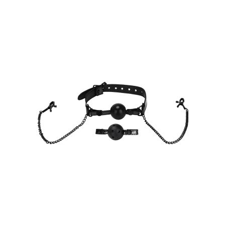 Whipsmart Ball Gag & Nipple Clips