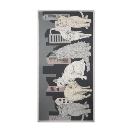 CODELLO Sjaal navy / grijs