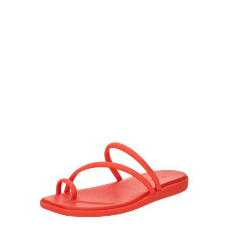 Crocs Crocs Teenslipper Miami kreeft