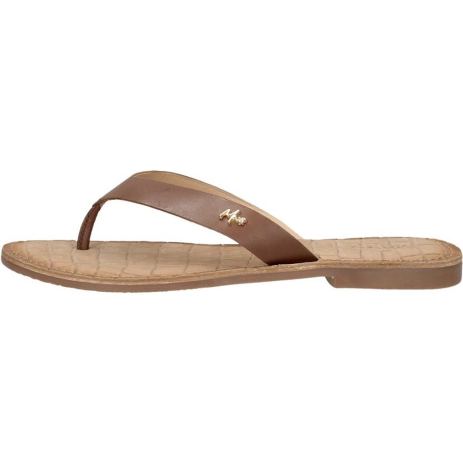 Mexx - Grizzly Bruin