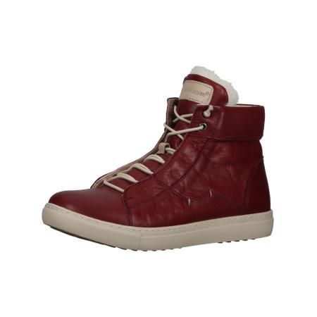 Hush Puppies HUSH PUPPIES Sneakers hoog bordeaux / wit