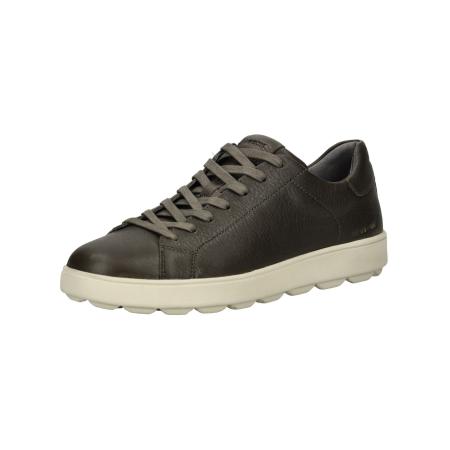Geox GEOX Sneakers laag donkergroen