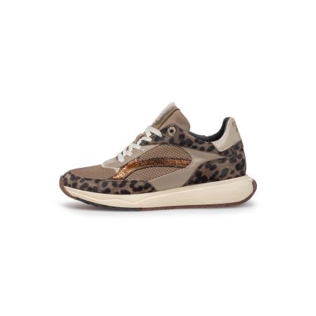 Floris van Bommel Floris van Bommel Sneakers laag Suvi 02 donkerbeige / brons / taupe / zwart