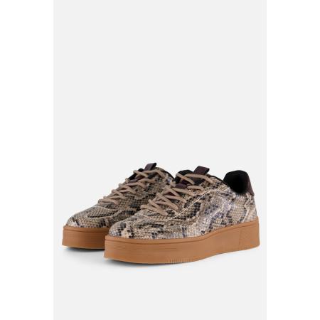 Cellini Snake Sneakers beige Synthetisch