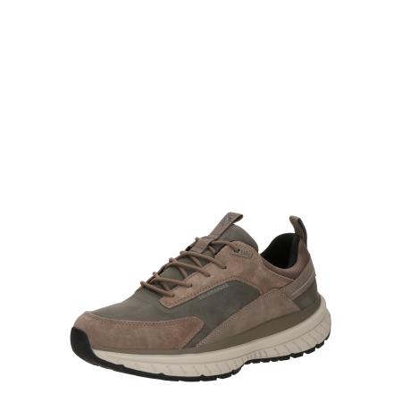 Salamander SALAMANDER Sneakers laag donkerbeige / stone grey