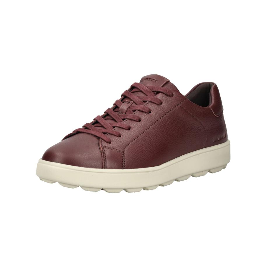Geox GEOX Sneakers laag wijnrood -
