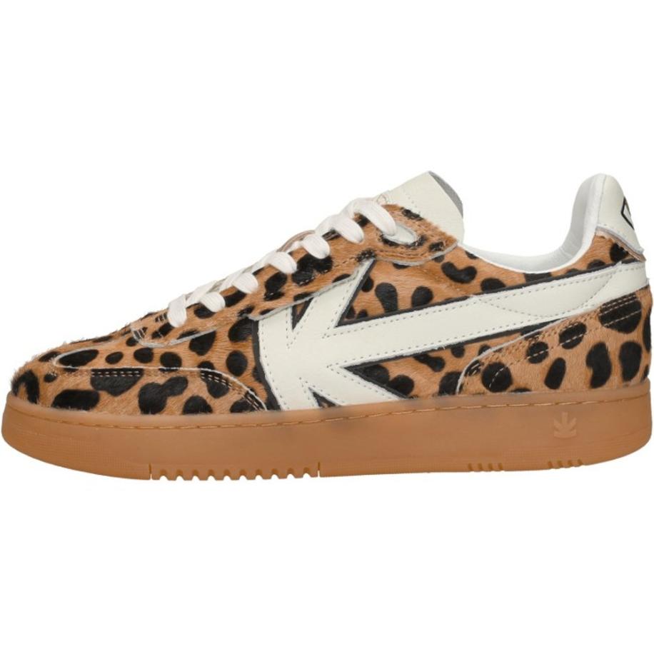 Kaotiko - Boston V Bruin