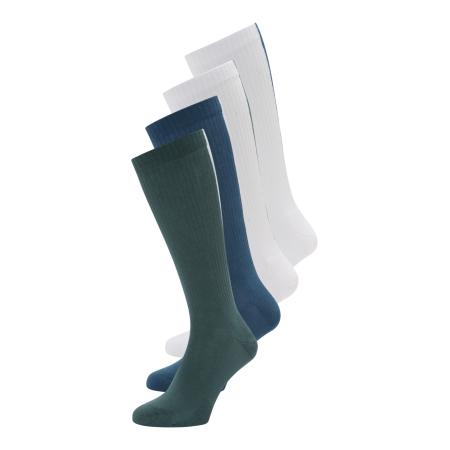 Calvin Klein Calvin Klein Underwear Sokken marine / spar / wit