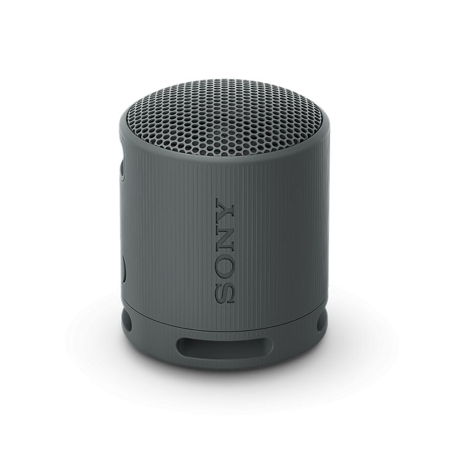 Sony XB100 draagbare draadloze speaker in Zwart Zwart