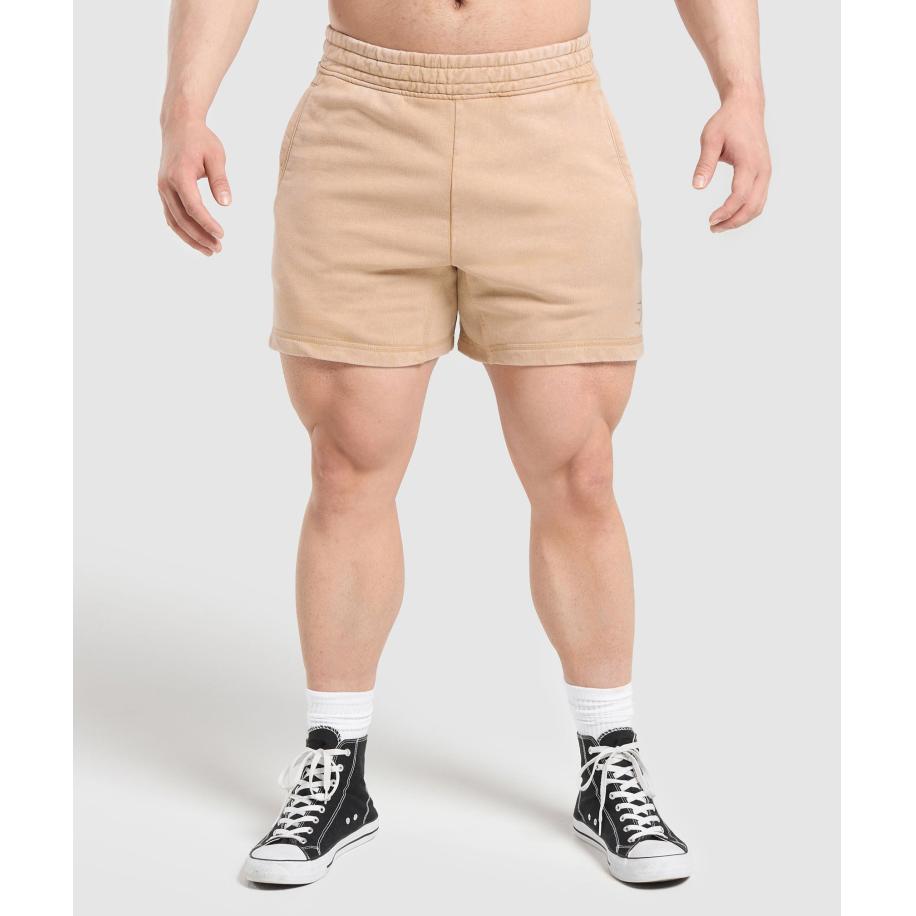 Gymshark Heritage 5 Shorts Deep Fawn Brown Bruin