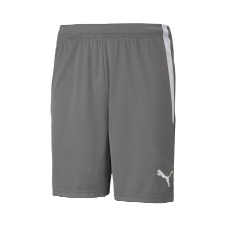 Puma PUMA Sportbroek TeamLiga lichtgrijs / donkergrijs