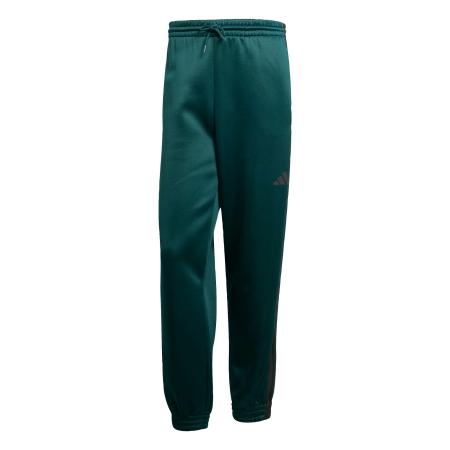 Adidas ADIDAS SPORTSWEAR Sportbroek Stadium smaragd / zwart