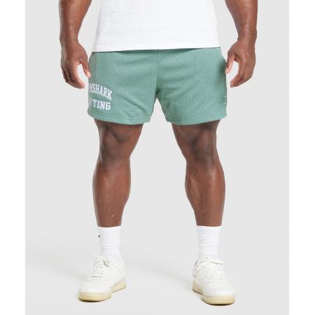 Gymshark Lifting Mesh 5 Shorts Celeste Blue