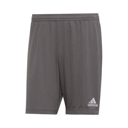 adidas Performance ADIDAS PERFORMANCE Sportbroek Entrada 22 basaltgrijs / wit