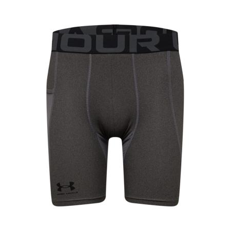 Under Armour UNDER ARMOUR Sportbroek donkergrijs / zwart