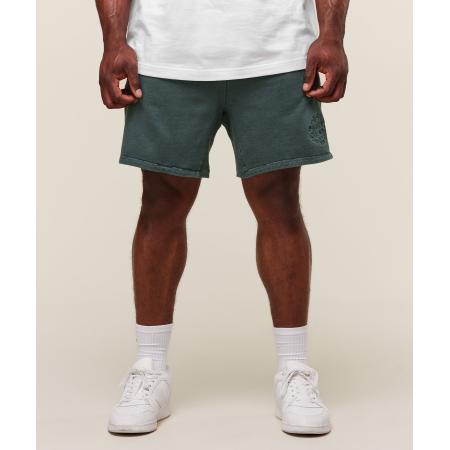 Gymshark Premium Legacy Shorts Cargo Teal