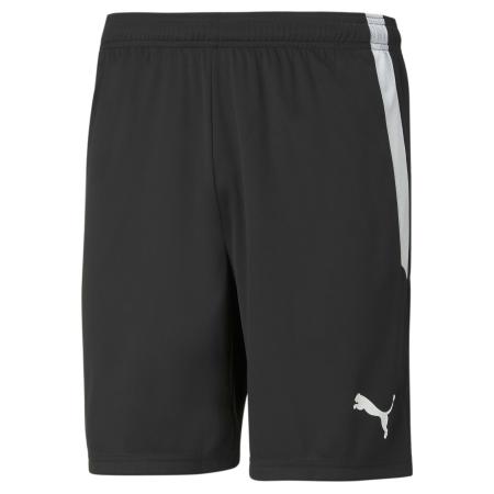 Puma PUMA Sportbroek TeamLiga lichtgrijs / zwart / wit