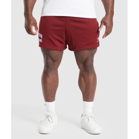 Gymshark Lifting Mesh 5 Shorts Sets Red