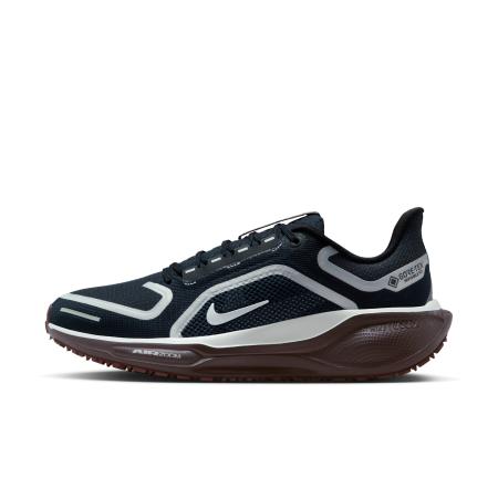 Nike Pegasus 41 GORE-TEX waterdichte hardloopschoenen voor dames (straat) - Blauw