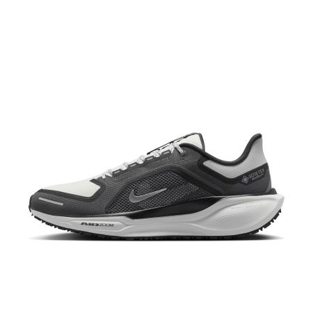 Nike Pegasus 41 GORE-TEX waterdichte hardloopschoenen voor heren (straat) - Zwart