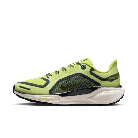 Nike Pegasus 41 GORE-TEX waterdichte hardloopschoenen voor dames (straat) - Groen