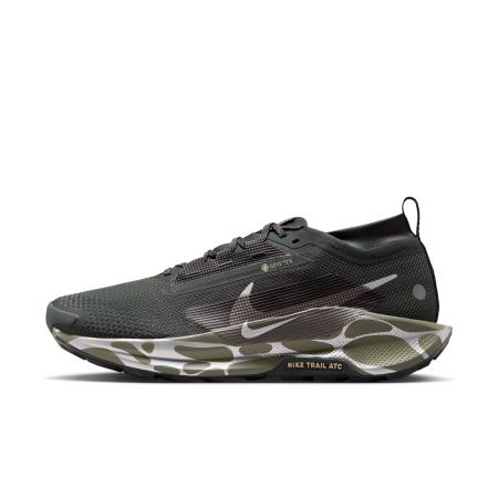 Nike Pegasus Trail 5 GORE-TEX waterdichte trailrunningschoenen voor heren - Grijs