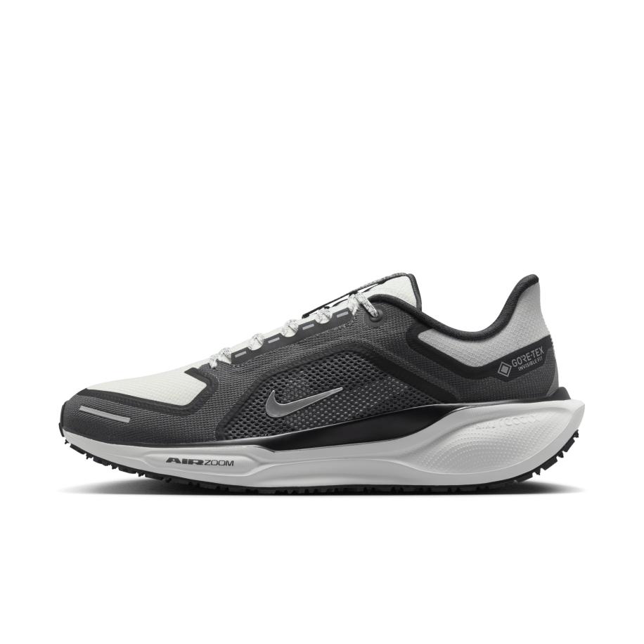 Nike Pegasus 41 GORE-TEX waterdichte hardloopschoenen voor heren (straat) - Zwart Zwart