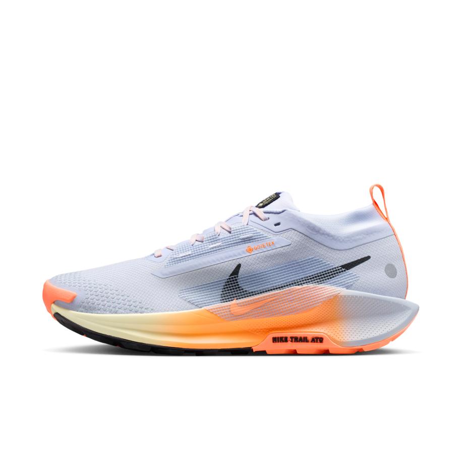 Nike Pegasus Trail 5 GORE-TEX waterdichte trailrunningschoenen voor heren - Grijs Grijs