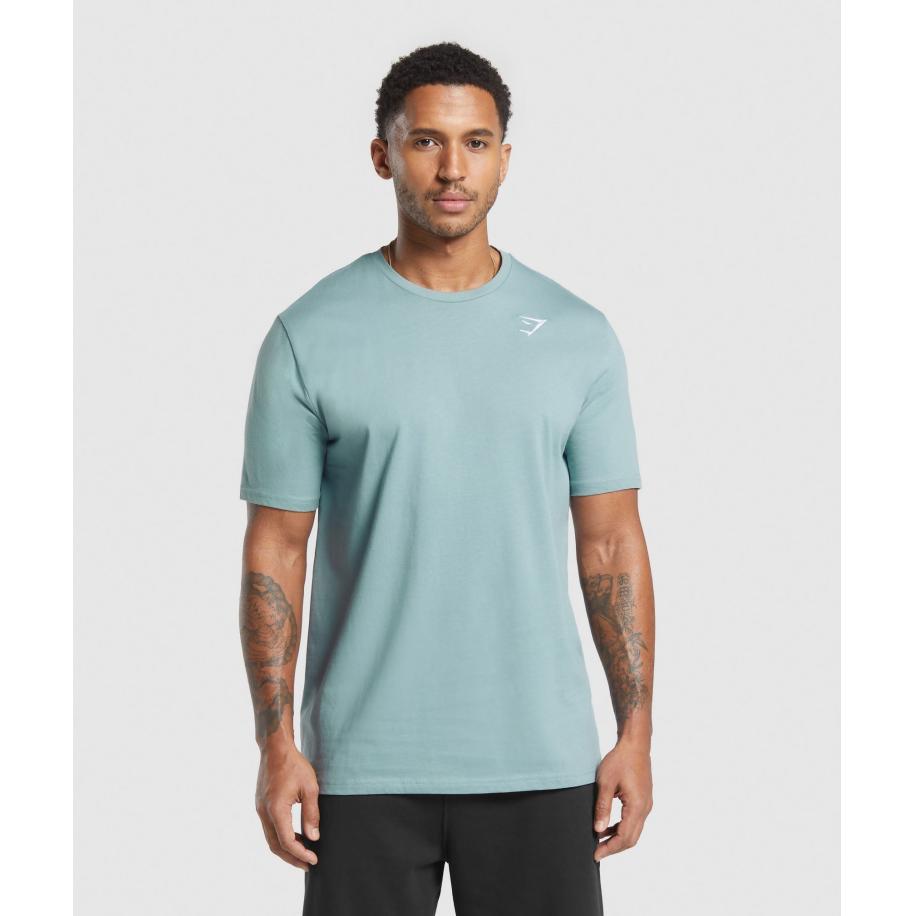 Gymshark Crest T-Shirt Rest Blue Blauw