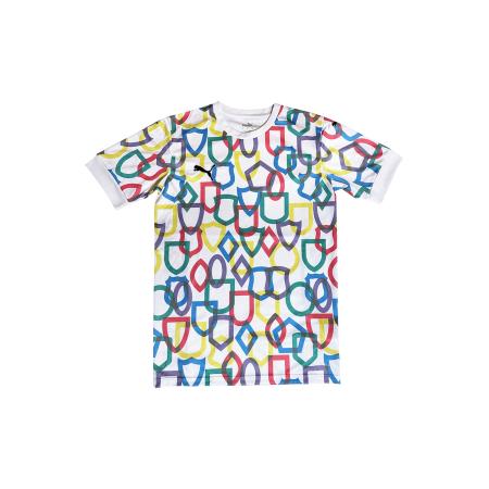 PUMA Functioneel shirt blauw / groen / rood / wit