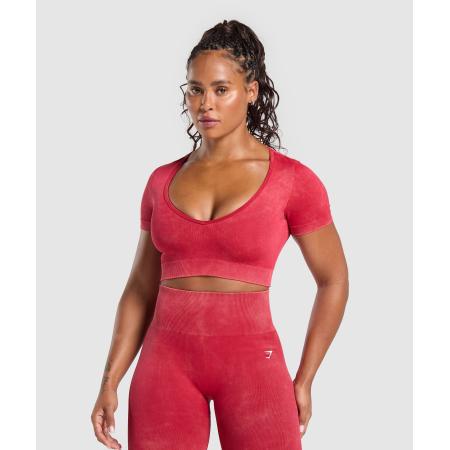 Gymshark Gains Seamless Washed Crop Top Carmine Red