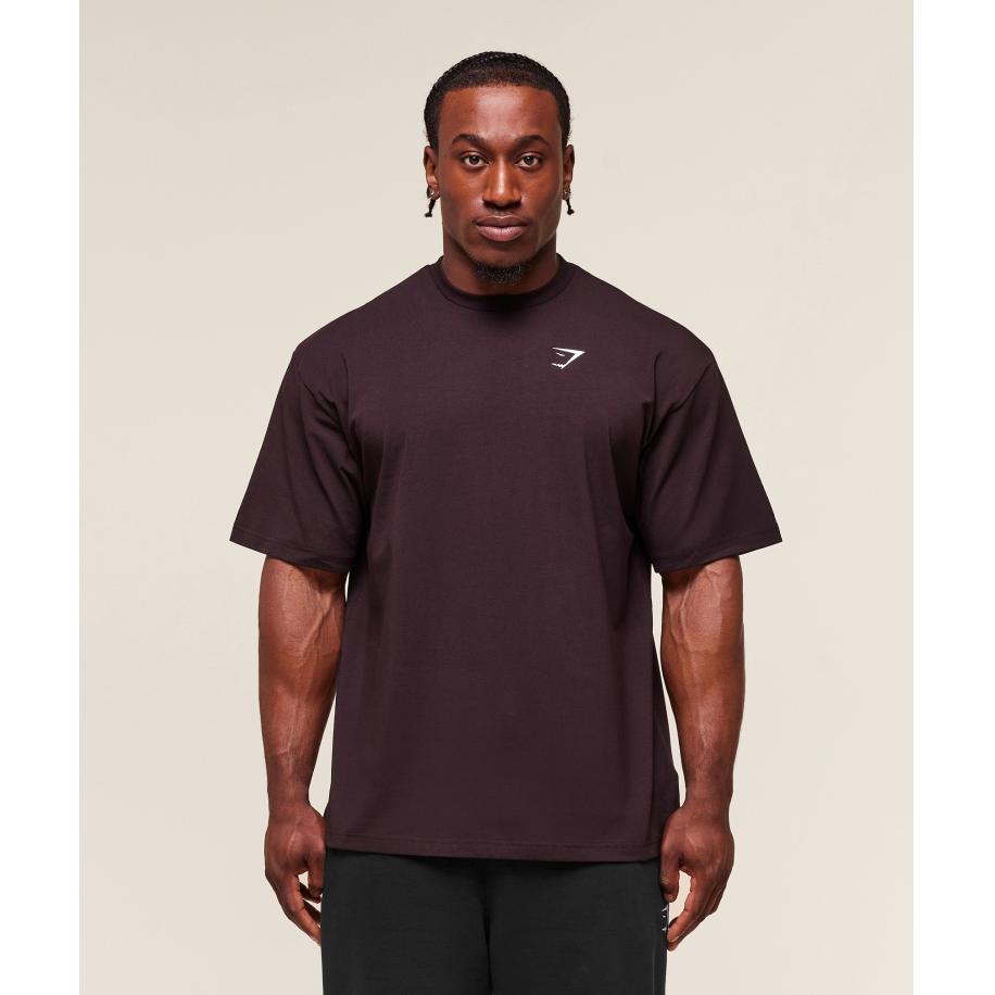 Gymshark Essential Oversized T-Shirt Plum Brown Bruin