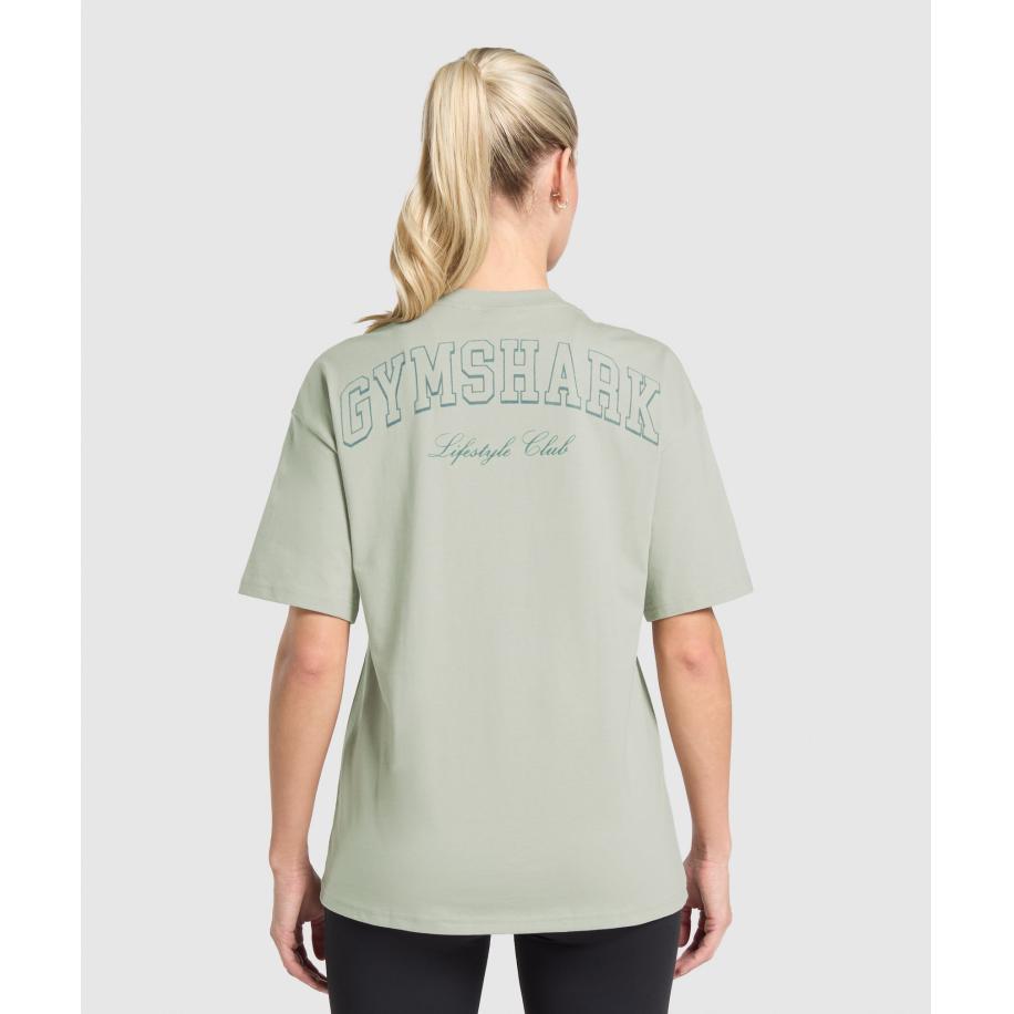 Gymshark Campus Classics Graphic T-Shirt Stone Grey Grijs
