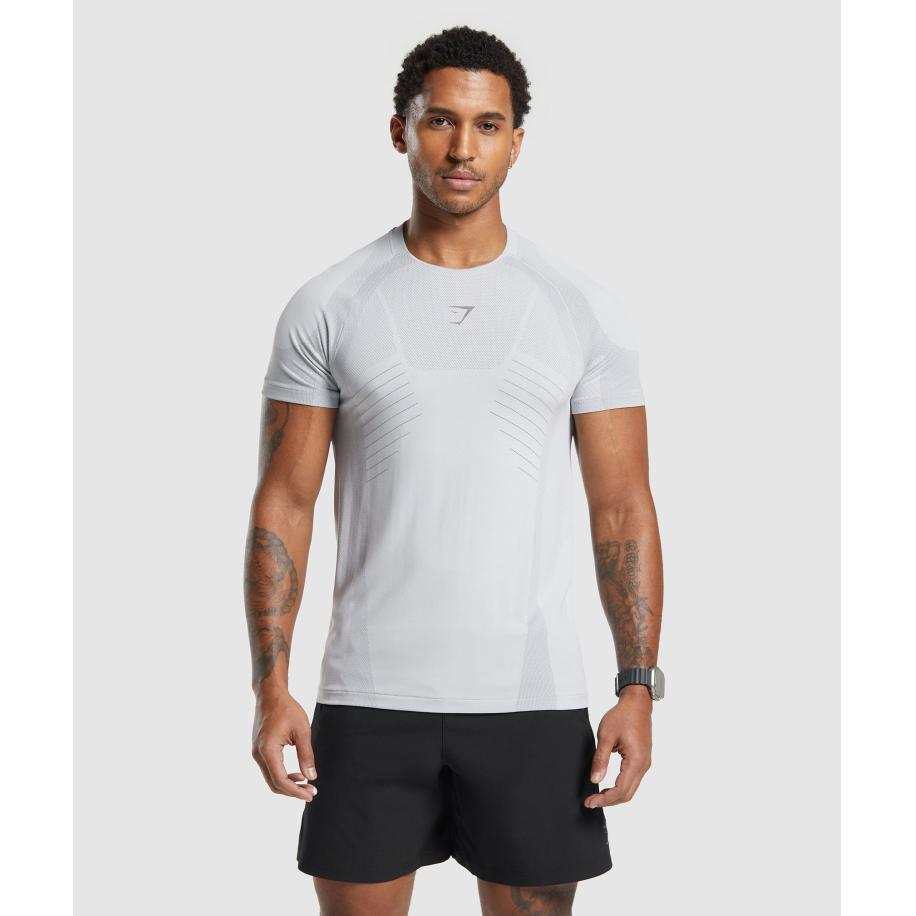 Gymshark Apex Seamless T-Shirt Light Grey/Medium Grey Grijs