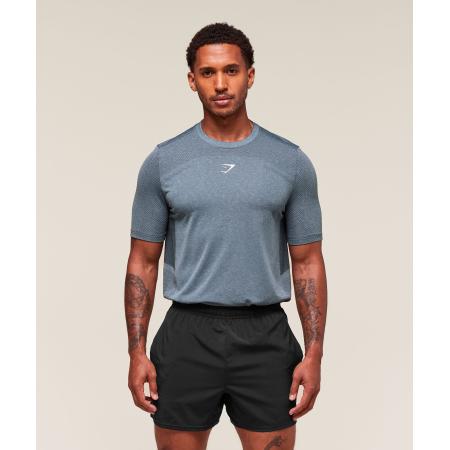 Gymshark Lightweight Seamless T-Shirt Classic Blue/Success Blue