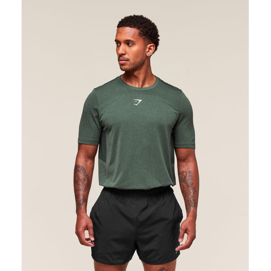 Gymshark Lightweight Seamless T-Shirt Chalk Green/Base Green Groen
