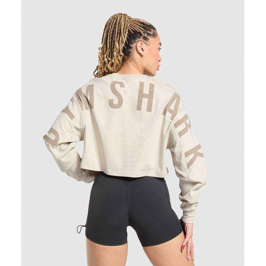 Gymshark Wordmark Graphic Long Sleeve Top Pebble Grey Grijs