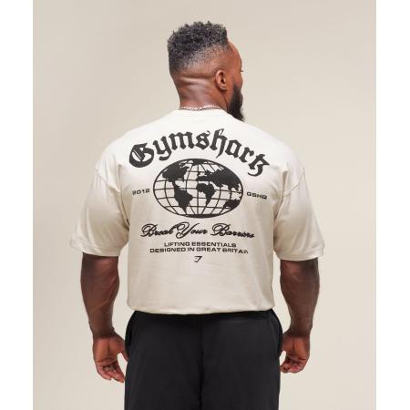 Gymshark Break Your Barriers T-Shirt Pebble Grey