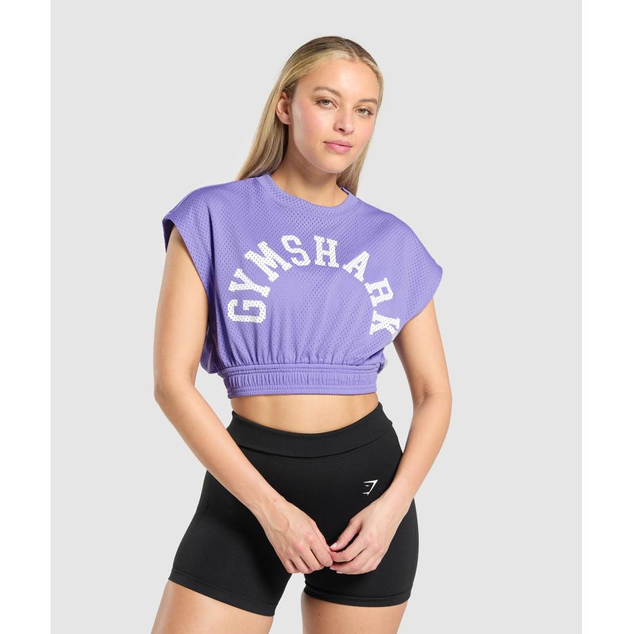 Gymshark Mesh Graphic Crop Top Record Purple Paars